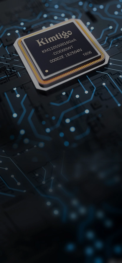 Embedded Memory Storage Devices